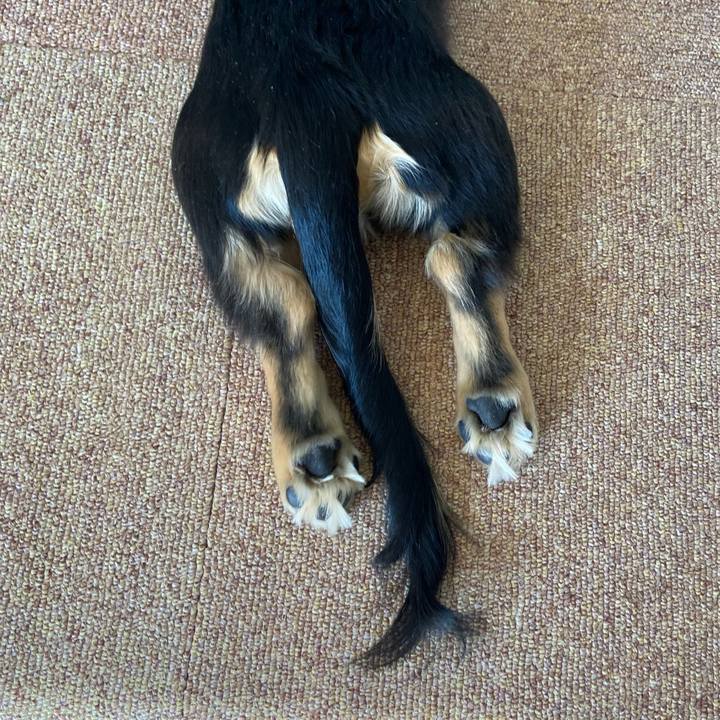 04f15302 0599 4e0c b66d 89b486ce7480 1673412758773