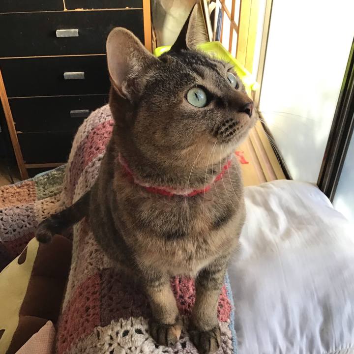 04f1627b c412 421a 944d f389524963cb 1611964827691