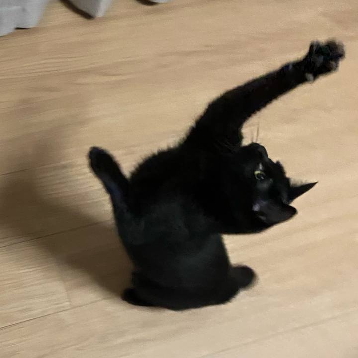 04f16f06 1a79 41ea b337 11a4a824bdd4 1624019449407