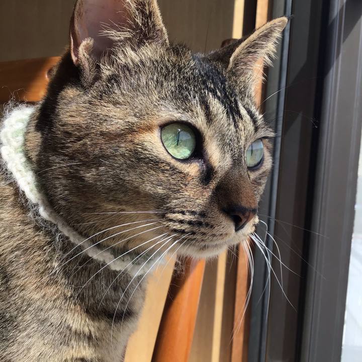 04f1b913 e270 496f b3c3 235e49f87d97 1648623087230