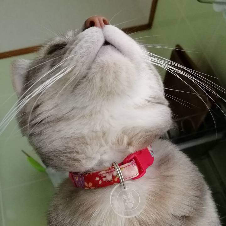 04f21b5d e07c 44dd a606 b0a2bd89bb82 1521595938534