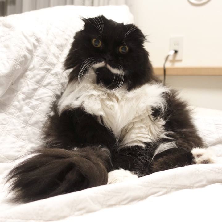 04f25680 63e6 48e5 902a 556f405cb8b0 1541911198493