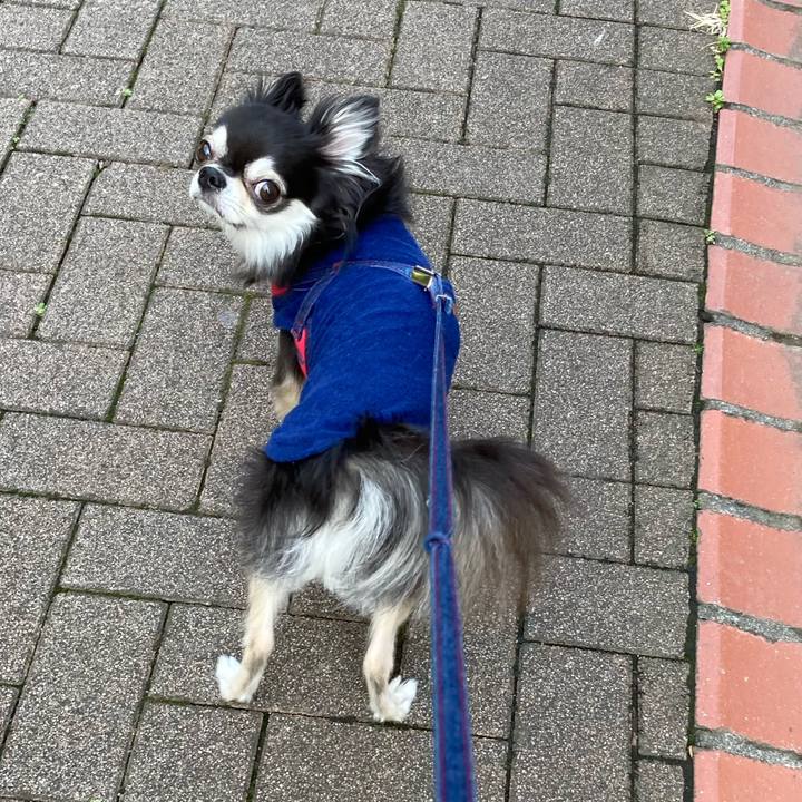 04f25a41 816b 4818 b755 9a37323e52b5 1711899884945