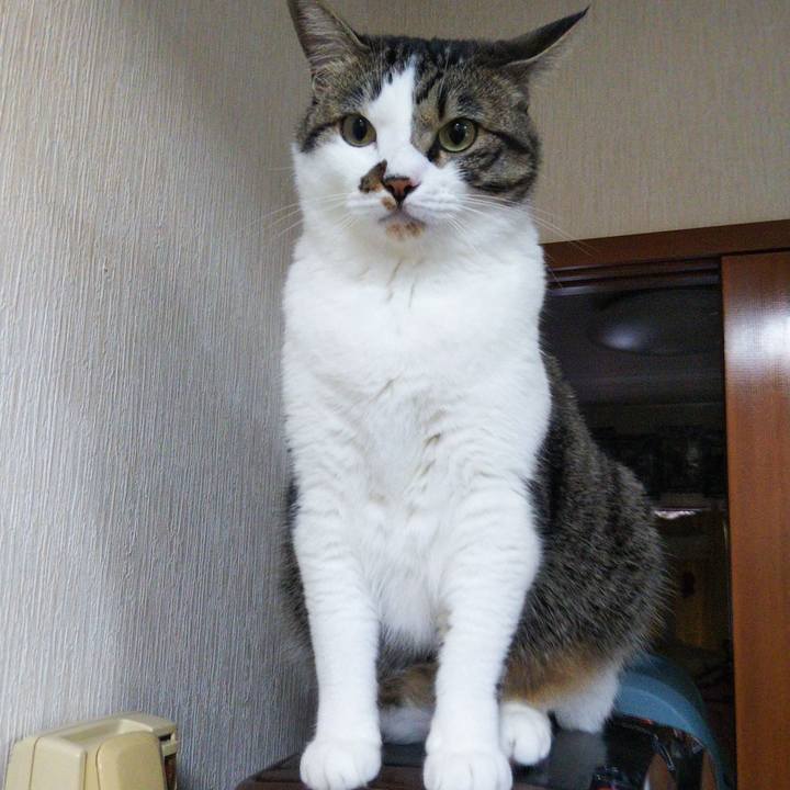 04f25b22 5b4d 4308 a46d 6b7f52cac7c4 1655907198109