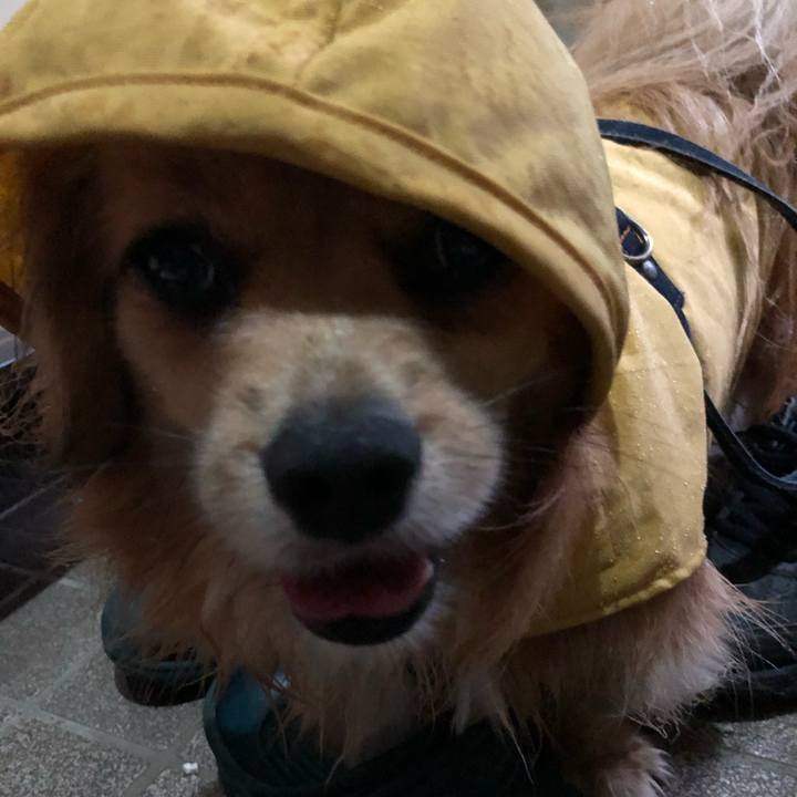 04f28741 c322 4230 9929 a1012e0973d2 1563574517521