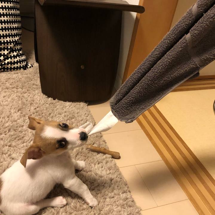 04f2876a 0168 4ee7 a908 3bdc9dc22a3f 1544711855334