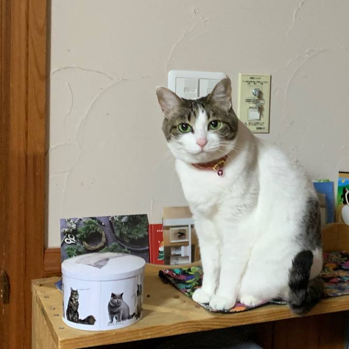 04f29e34 83a6 47fc be9b a8692fa4a920 1583673049782