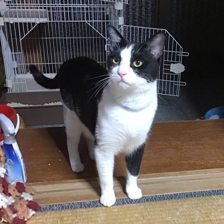 04f2b86b b244 4ad0 b16c 6dfc038af0db 1694691520227