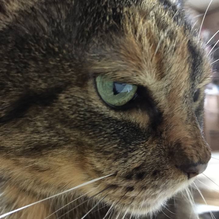 04f2cf66 fe28 4686 97ef 6df515265577 1513089267328