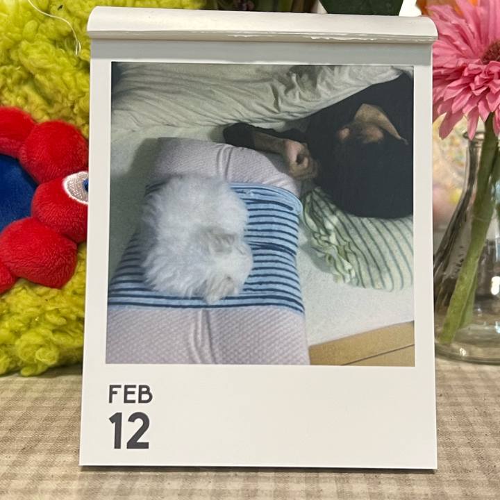 04f2ef64 7911 476c aa53 8ff73b6733a3 1770899131961