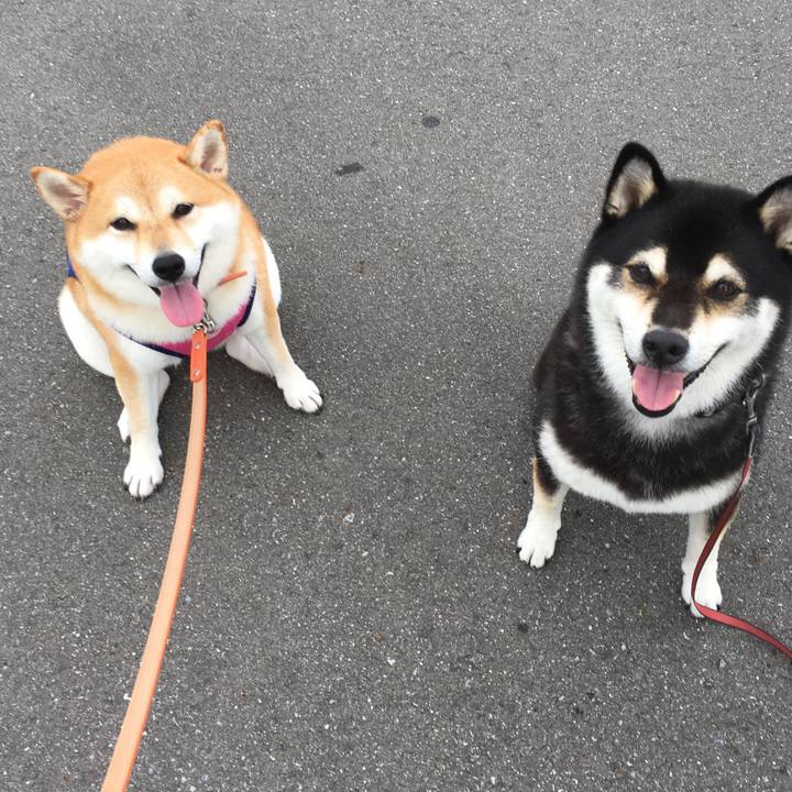 04f34634 761e 4fb4 ac36 0f51c61cdea8 1536283695767