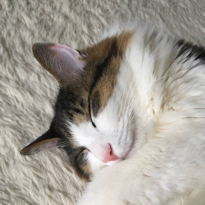 04f381a3 b5de 4347 80cb 624c86cccbc4 1525574604569