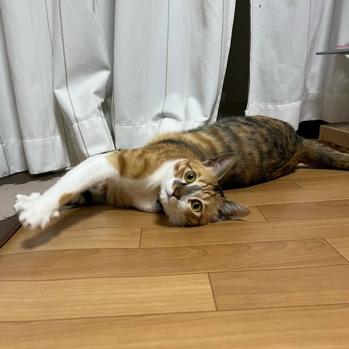 04f3fcf4 6a2a 419b b8b7 0dfc60474590 1678395384817