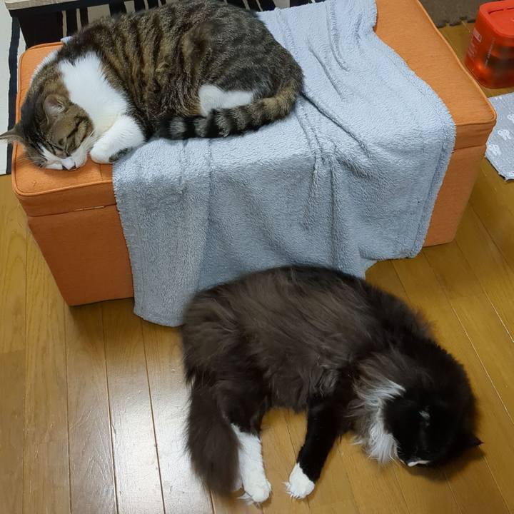 04f42615 de16 4bd4 b53b 04dc4113fbe0 1668937362909