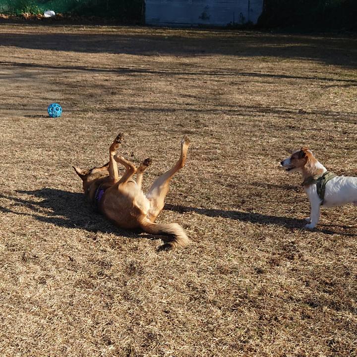 04f42c67 8f61 447b 8939 f2efc973aadb 1706432216383