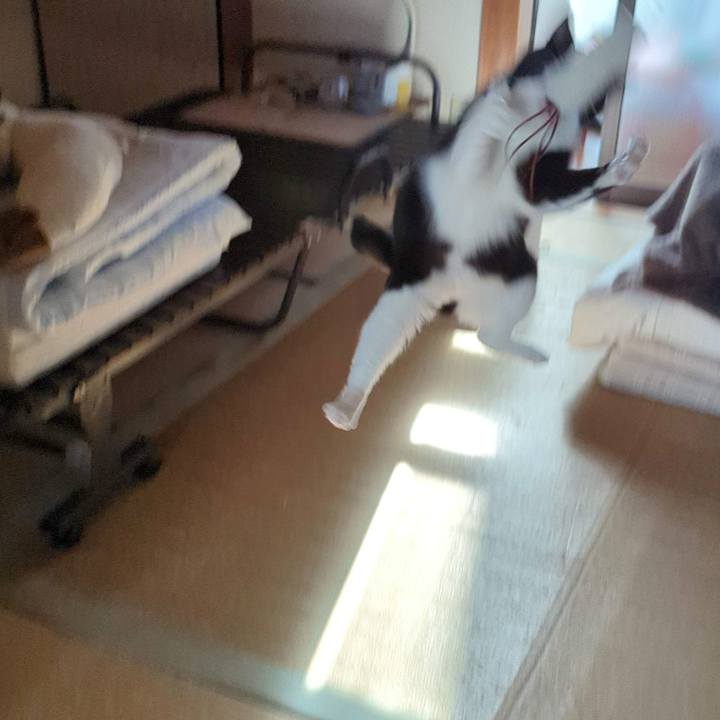 04f43272 9077 4a3b a519 4de4b66129ef 1765343322282