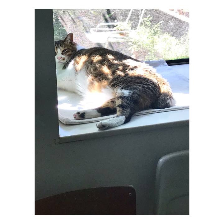 04f458fd b2f7 4295 b634 53657863aeeb 1656550252211