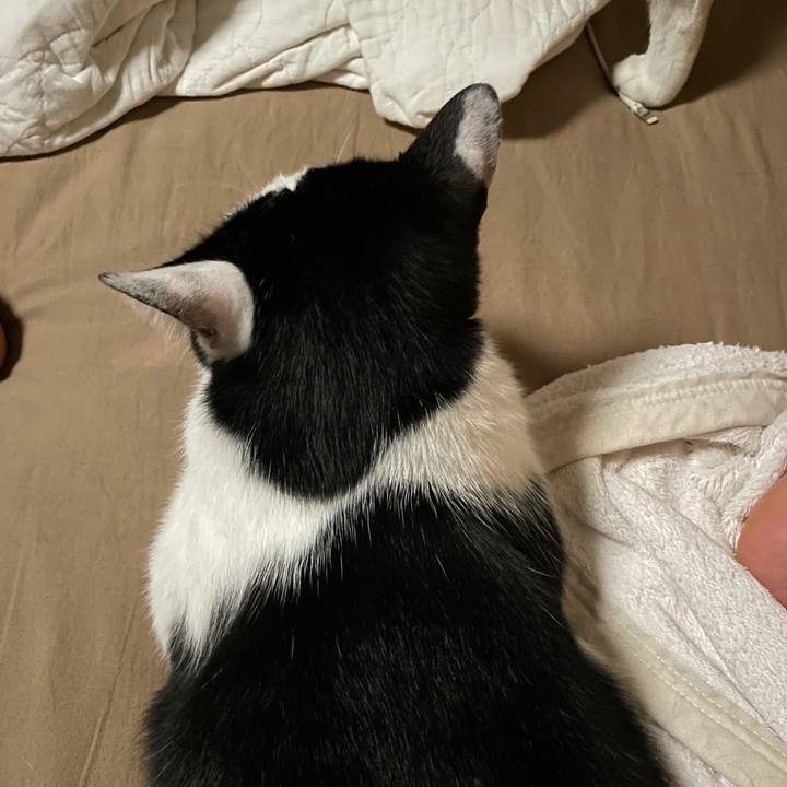 04f4895c 11f6 4423 b1fd ca67920d817f 1623325098943