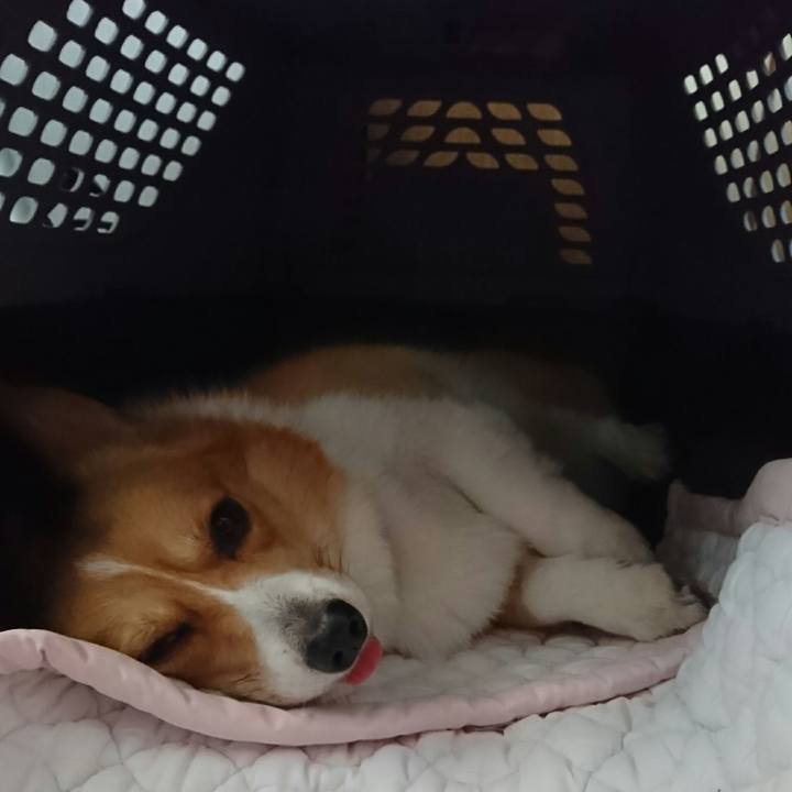 04f4ab5c 8002 4bcc 9580 01d478fa0966 1528460165525