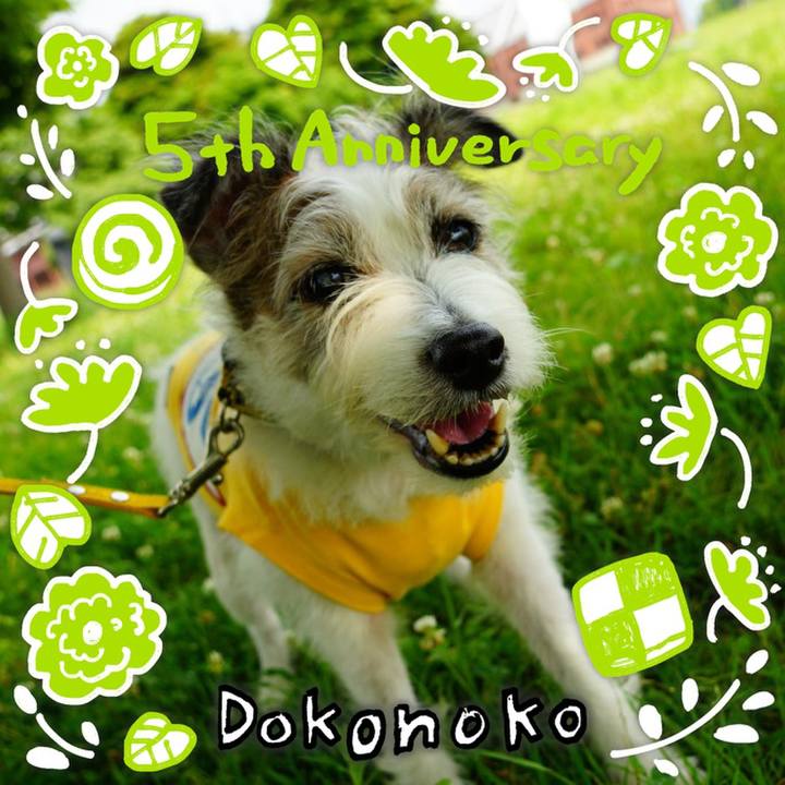 04f4ac00 7ef1 4492 8e12 aaa45ed1e018 1622867434190