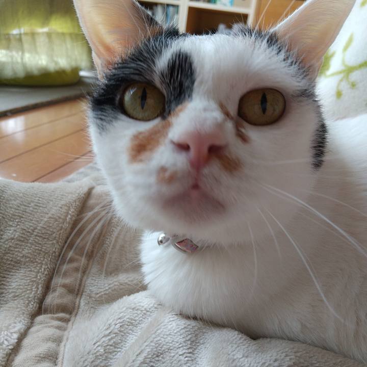 04f50009 838c 4c71 b846 5580f9bd4f63 1652572929029