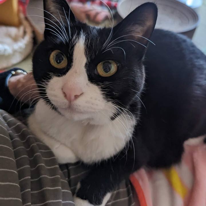 04f51b3f d924 4937 9354 a3470b861205 1699072626970