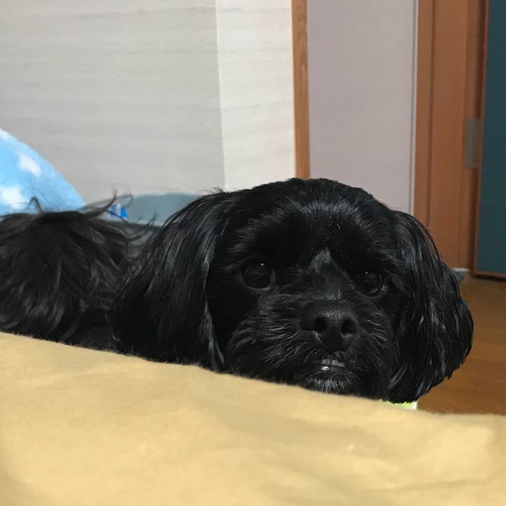 04f544b2 ed9a 4d2f a43d a4704e377f7d 1534515577846