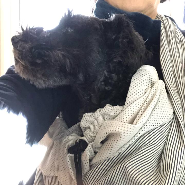 04f562cd aecb 4215 94bf 77cc9f579a60 1583201778425