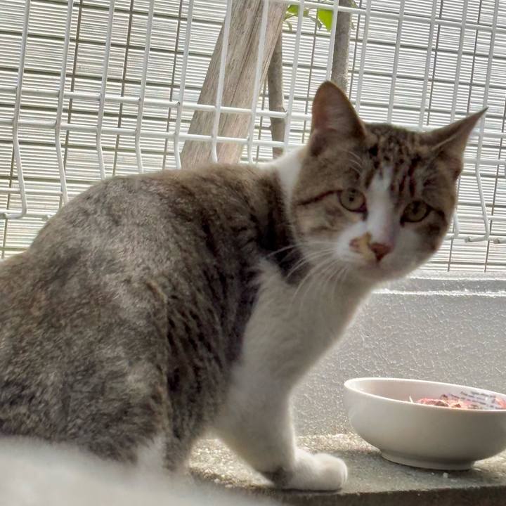 04f56966 8e57 4576 8163 90bbdc2436e9 1762256969010