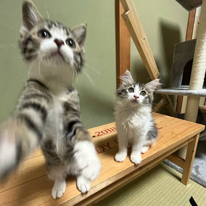 04f586f9 4d7d 4340 ae7d 03f1686169f5 1688381114234