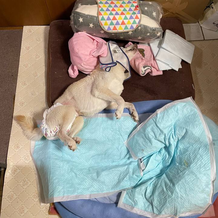 04f5c5e9 f02d 46e1 b57c d3c257307bab 1676245494189