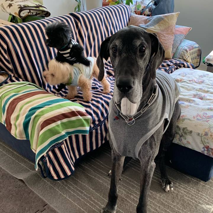 04f5d44d fee3 4bd9 818d cbb64dbe2319 1586383778480