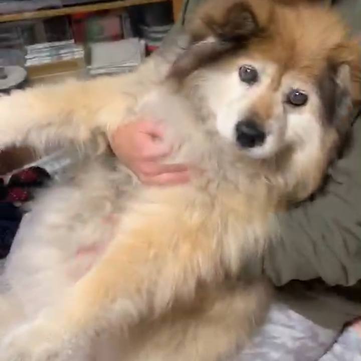 04f60fc7 b60b 49b8 aefd 291c23a4c661 1568916190138