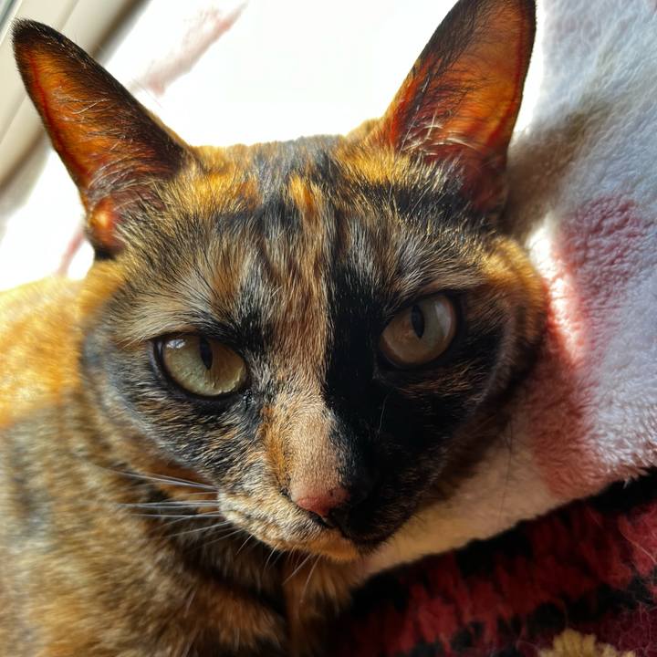 04f615df 1aff 4f5e a708 81816b7ded8a 1718502162366