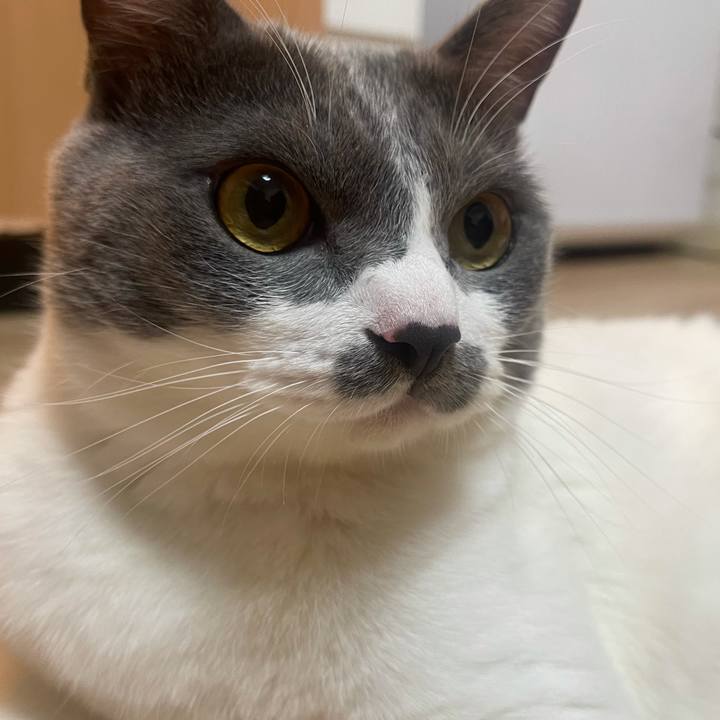 04f62161 dc3e 4940 96f6 9bab6c7d65db 1626942938046