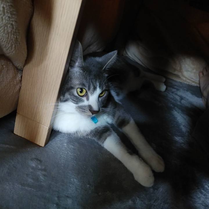 04f62404 b85c 450a 8781 596083c32445 1586307388519