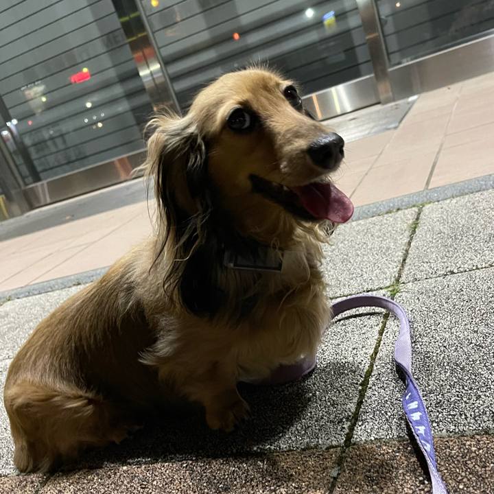 04f62aa1 f80f 452b b2ad e9749244e8d9 1661261769975