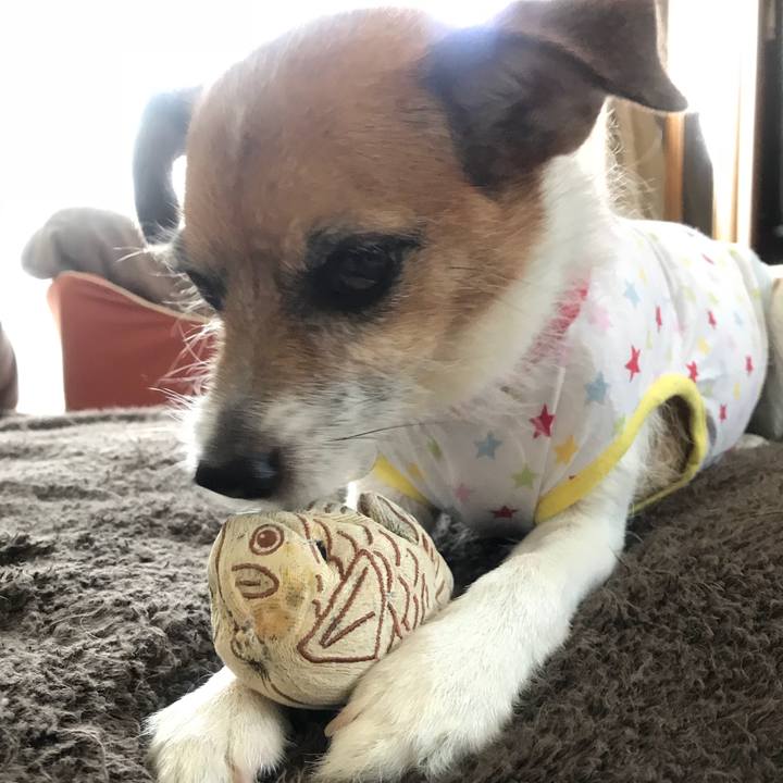 04f62d22 4fd5 467b a50a 1bef97c88a97 1530248401642