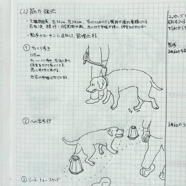 04f6560a 4414 4447 9d7f 790f02a0099b 1774144170379