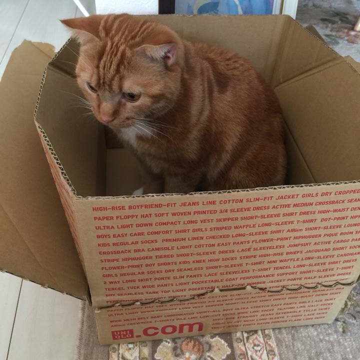 04f6934f 6a26 4f35 8318 a4a3e68d6ff5 1540162044611