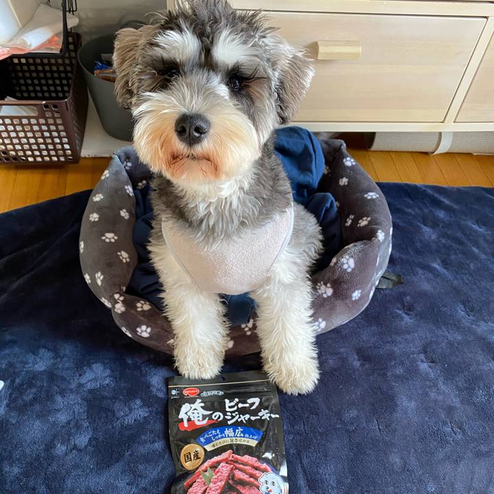 04f6abaa 3284 43e2 a902 4f3a850ebe10 1577237927267