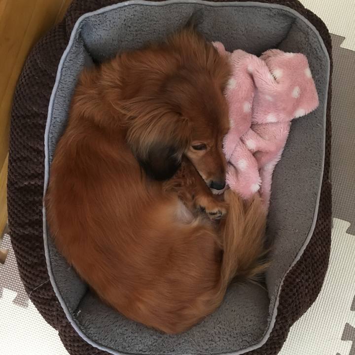 04f6be61 d5e1 43bb a05b 0f71aeb2cb30 1516622452972