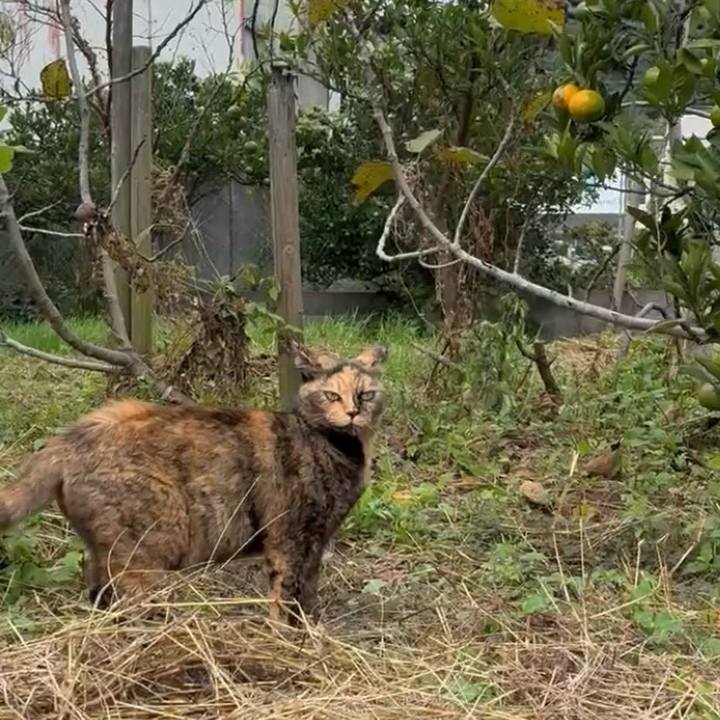 04f6e167 3195 4700 b0a6 0c8c3eca9298 1760500111653