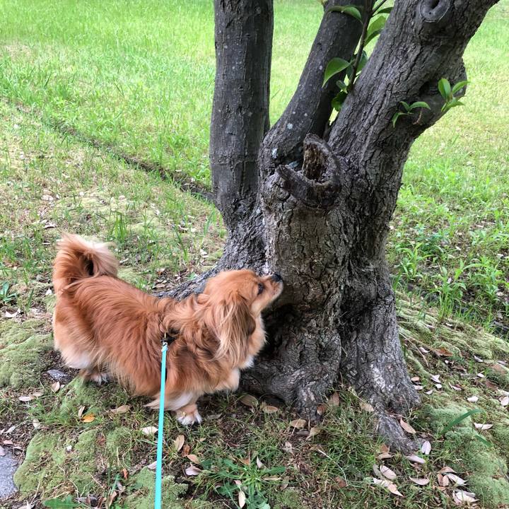 04f788fa b875 4ce5 9adb 7b924a3053b1 1559856214972