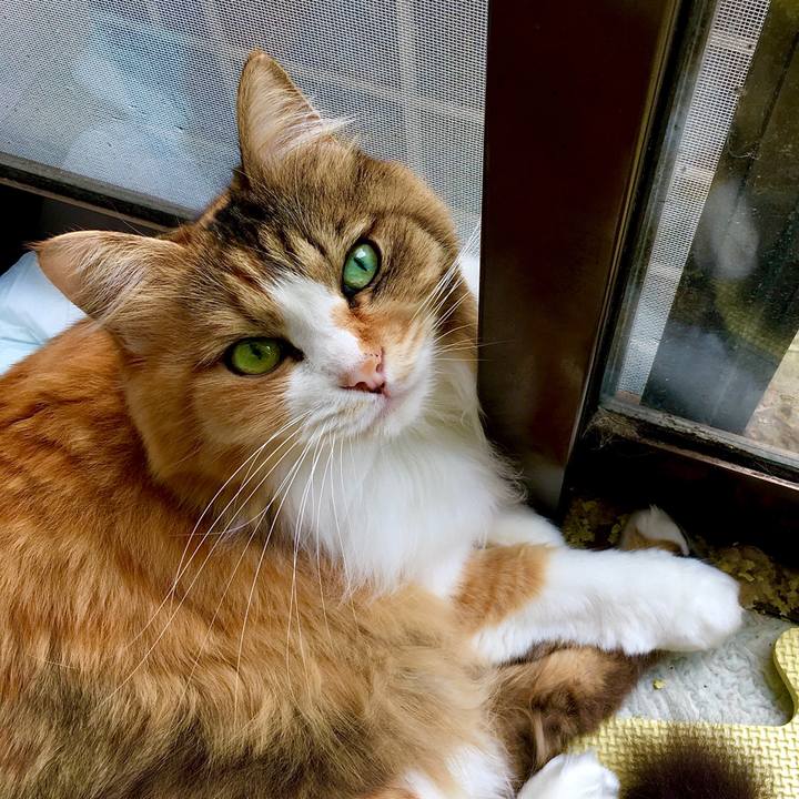 04f7ba45 2a5f 4bc2 94e5 b1c76e98754c 1573443407275