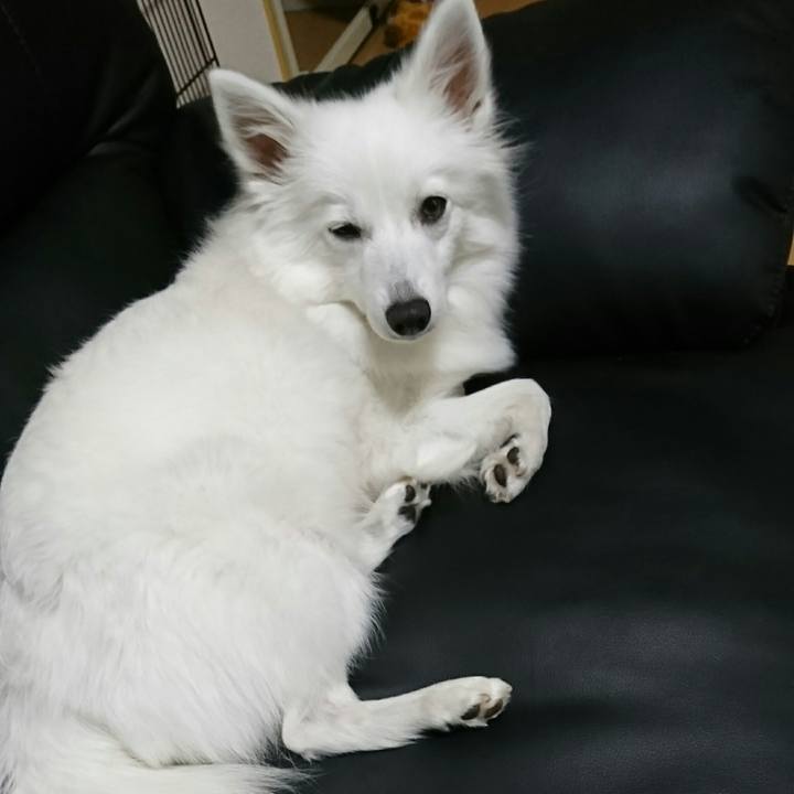 04f7dee1 27b2 4d8d 909d b59d3bed6b59 1511152783856