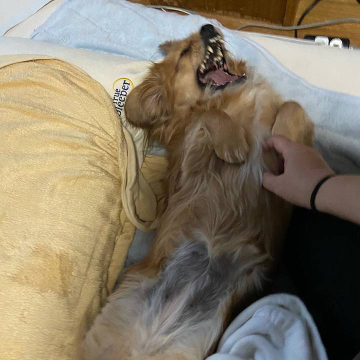 04f7e2ca 7d0b 46d3 a654 4e3cff0646ce 1611448641703