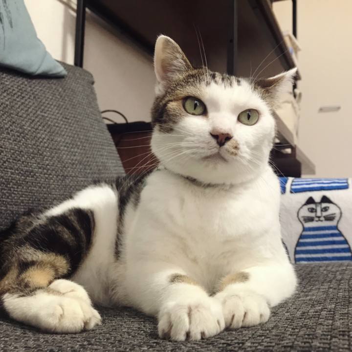 04f7e6f3 c988 4e5b 872e 608dbd2868c6 1596167714601