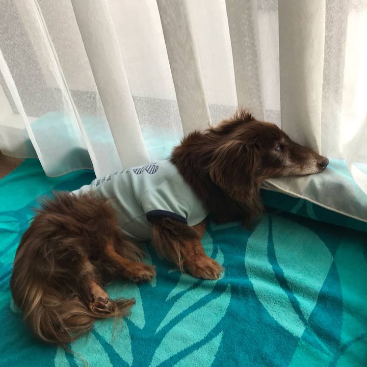 04f7ee51 98cf 430e ad96 d213d6b6c06a 1589272459349