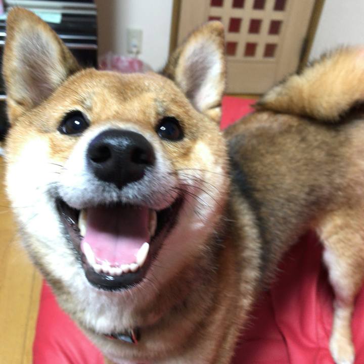 04f86297 a562 41cc a1f0 414ea010e7c4 1518777321334